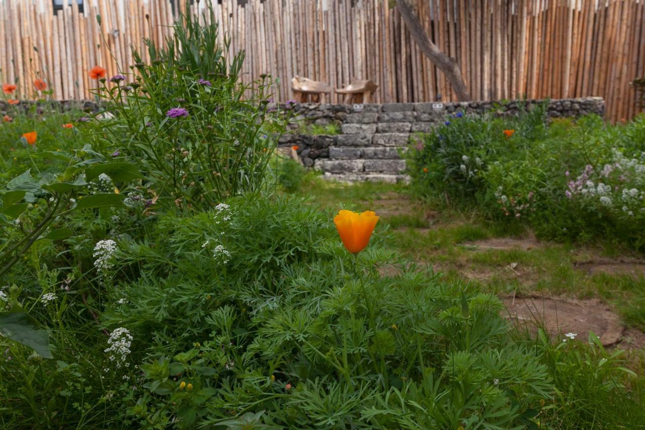Graviana - Pedra Negra Charming House Apartment Лагоа Екстериор снимка